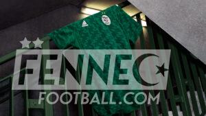 Maillot des Verts