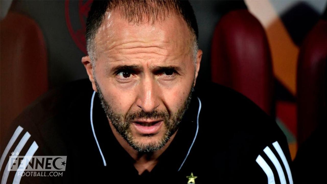 Après Yanis Hamache, deux autres noms figureraient bien sur la liste de Djamel Belmadi !