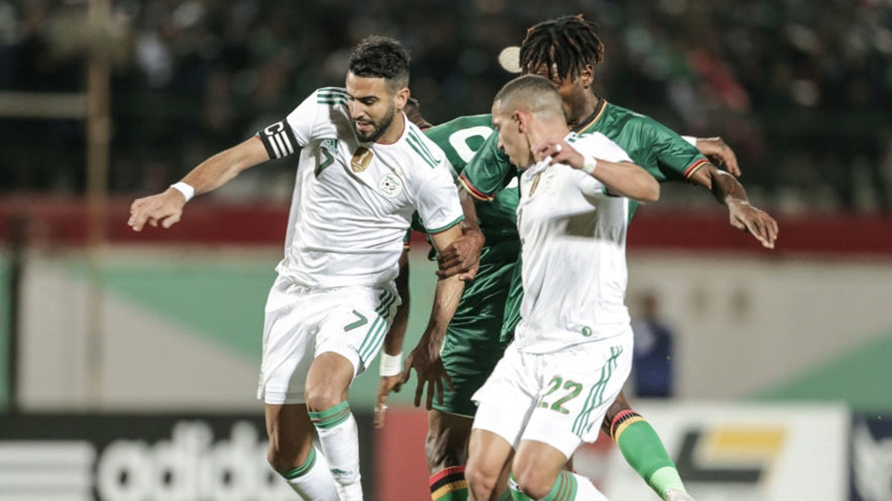 « C'est grâce à l'équipe d'Algérie » : Belmadi calme Mahrez et Bennacer