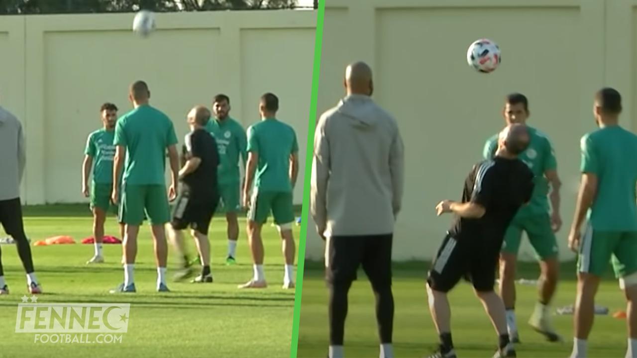 Djamel Belmadi tel un chef d'orchestre lors des entraînements des verts (Vidéo)