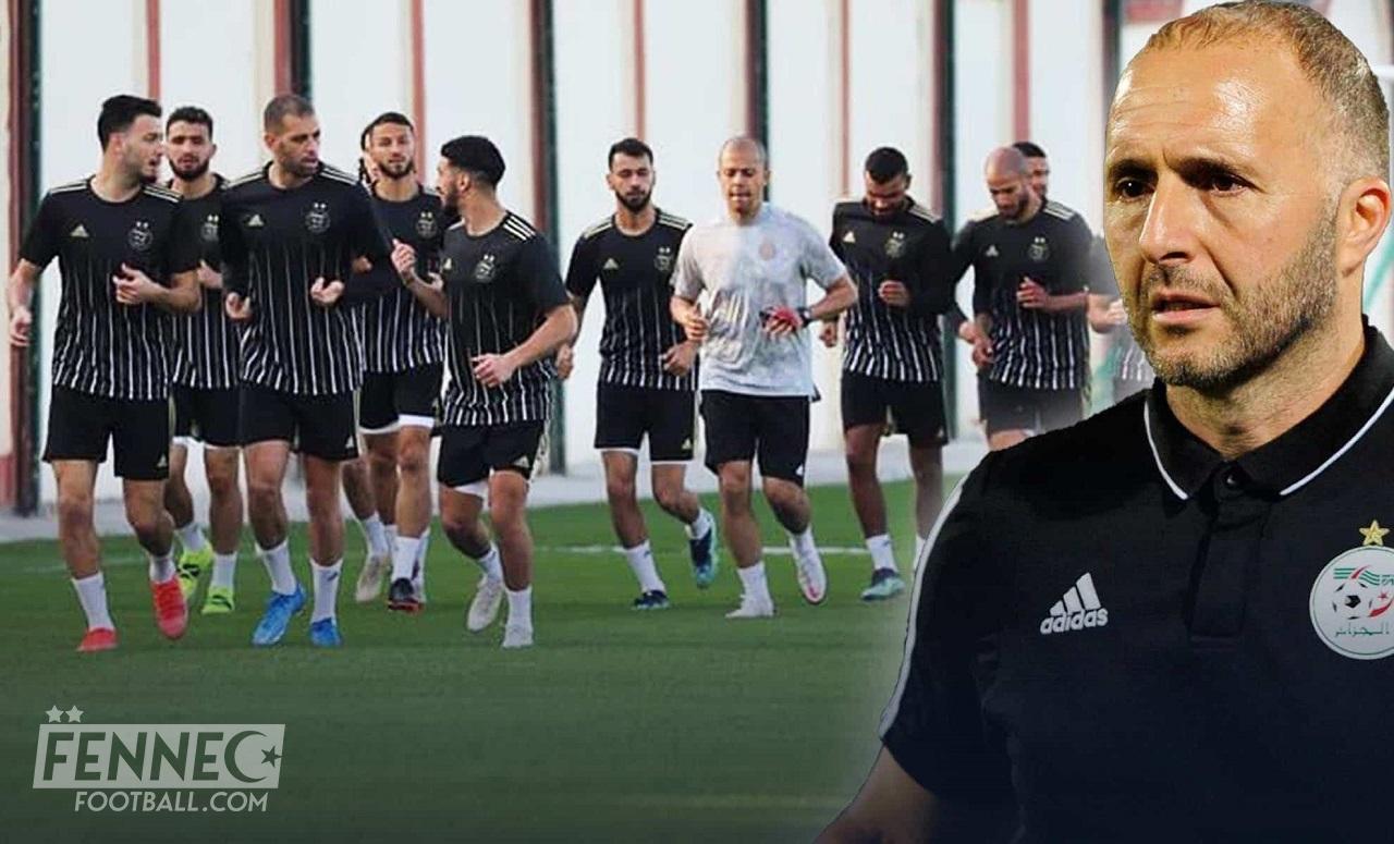Équipe d’Algérie : Djamel Belmadi reçoit de bonnes nouvelles en vue des prochains rendez vous !