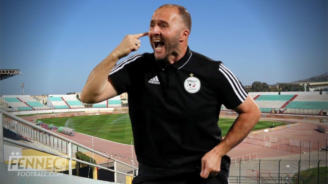 L'idée de génie de Djamel Belmadi pour relancer l'équipe d'Algérie