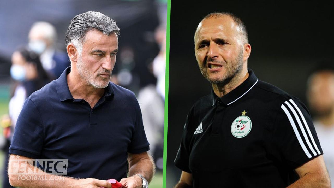 Urgent - Djamel Belmadi pour remplacer Christophe Galtier
