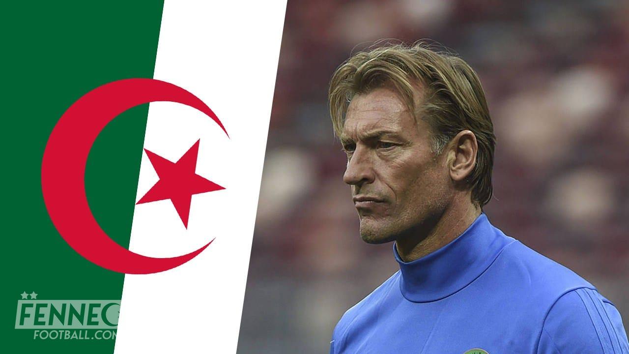 Hervé Renard s'exprime sur l’équipe d’Algérie ainsi que sur Djamel Belmadi !