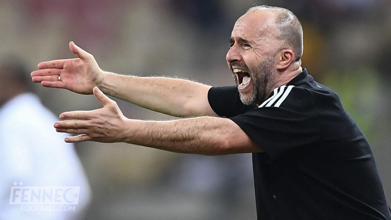 Victime d'une fake news propagée par le Maroc : Djamel Belmadi pète un câble