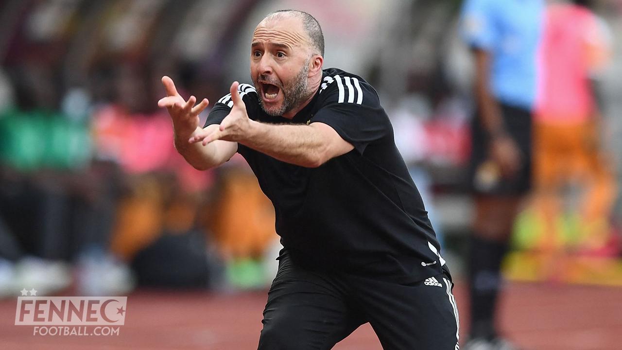 Un journaliste algérien s'en prend à Djamel Belmadi !