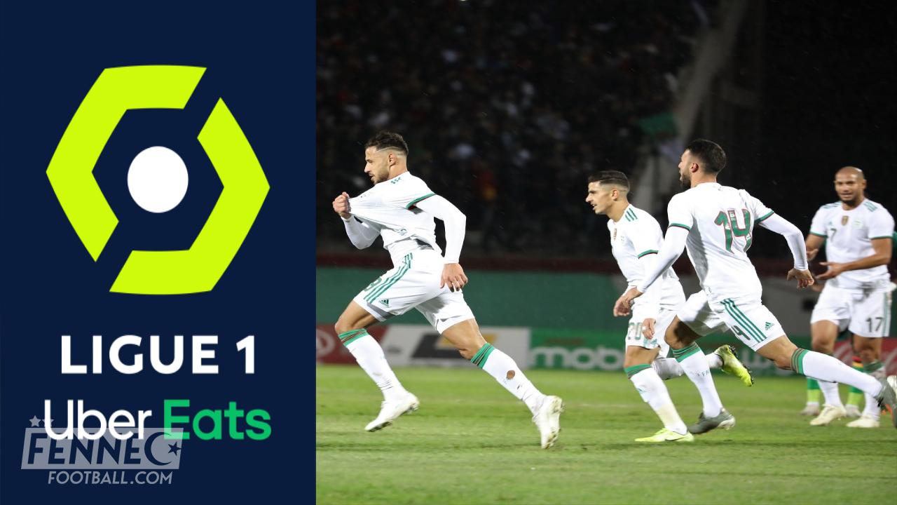 Équipe d’Algérie : un spécialiste pousse pour un coach de Ligue 1 à la place de Belmadi !