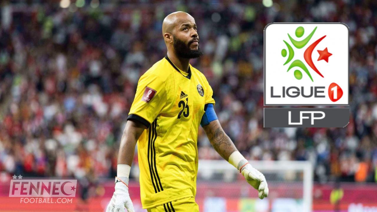 Rais Ouahab Mbolhi pourrait rebondir du côté du championnat algérien !