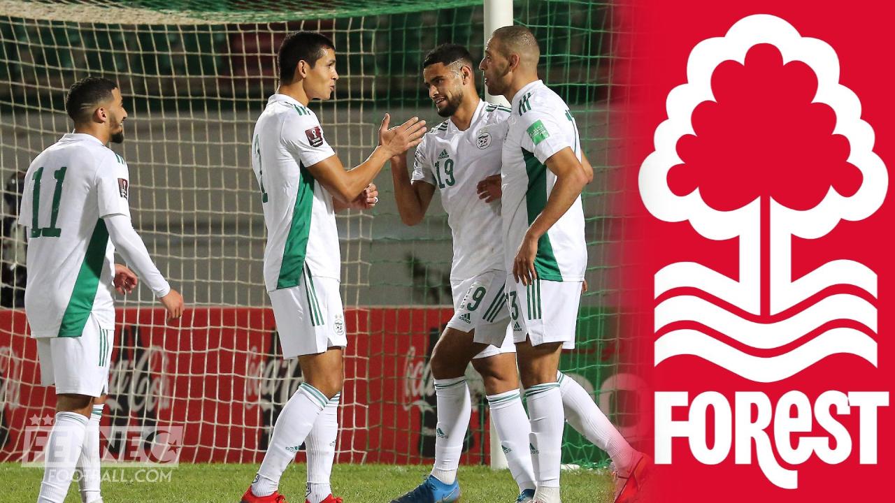 Après Islam Slimani, Nottingham Forest fonce sur un autre international algérien !