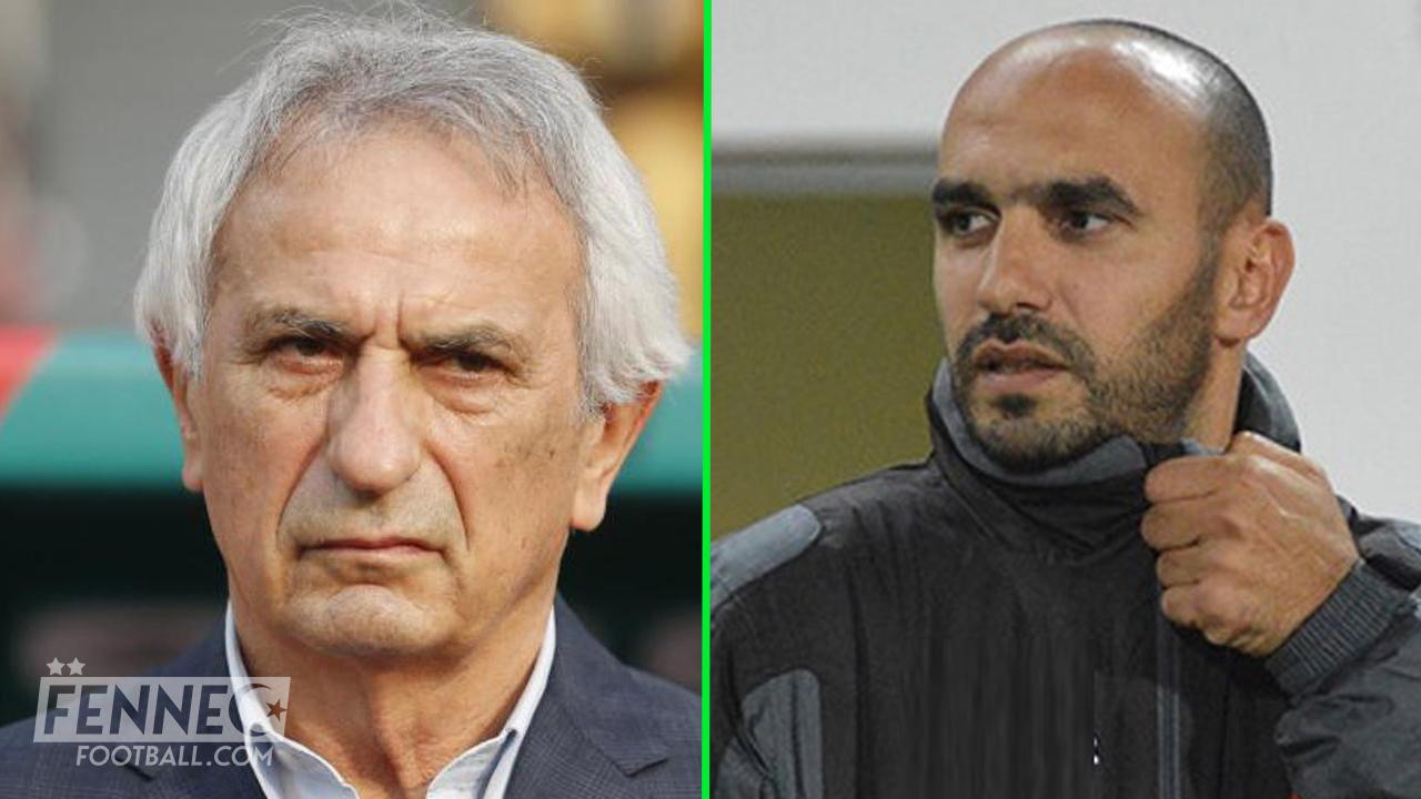 Maroc - Taclé par Regragui : Vahid Halilhodzic riposte