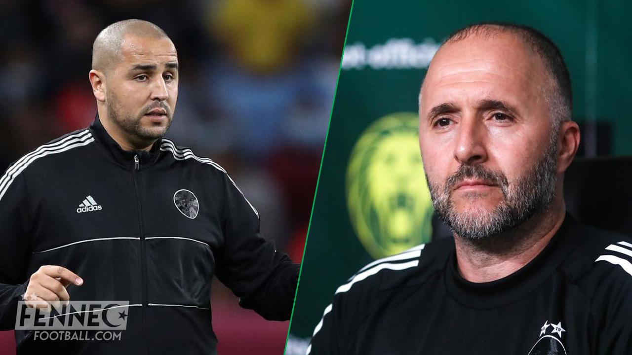 Équipe d'Algérie : Madjid Bougherra lésé contrairement à Belmadi