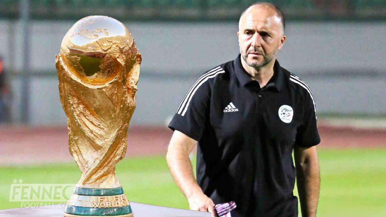 Coupe du monde 2022 : Djamel Belmadi remue le couteau dans la plaie !