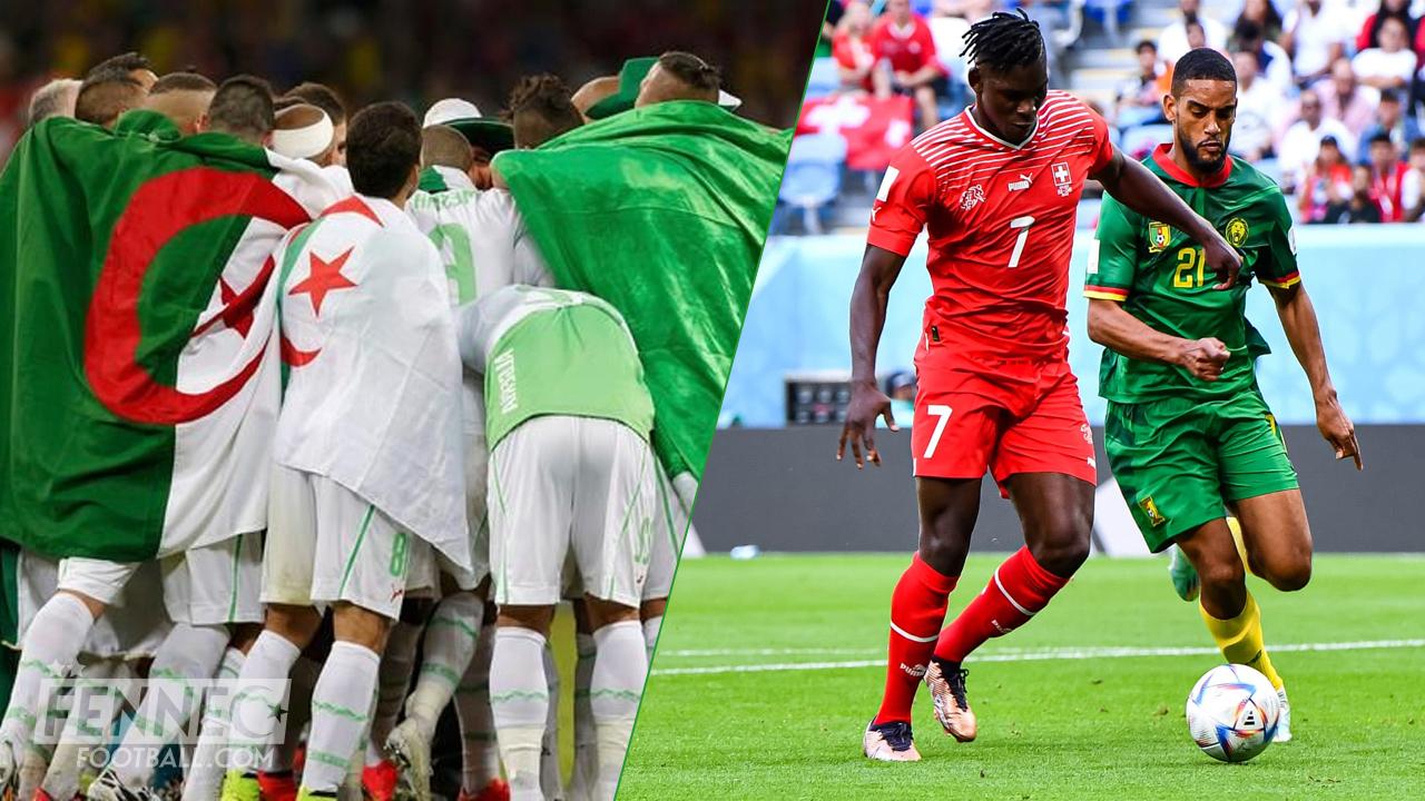 Coupe du Monde - Suisse Cameroun : l'Algérie s'incruste (Photo)