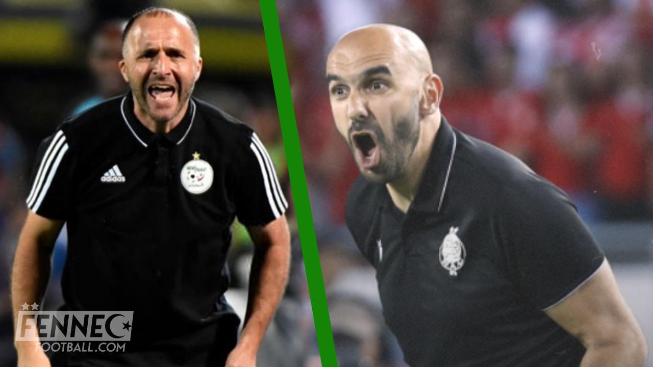 Walid Regragui défie Djamel Belmadi (Déclarations)