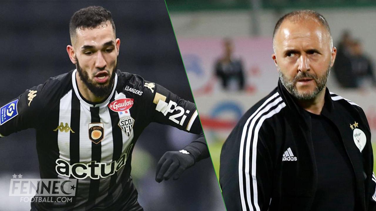 " Nabil Bentaleb est ... " : Djamel Belmadi cash !