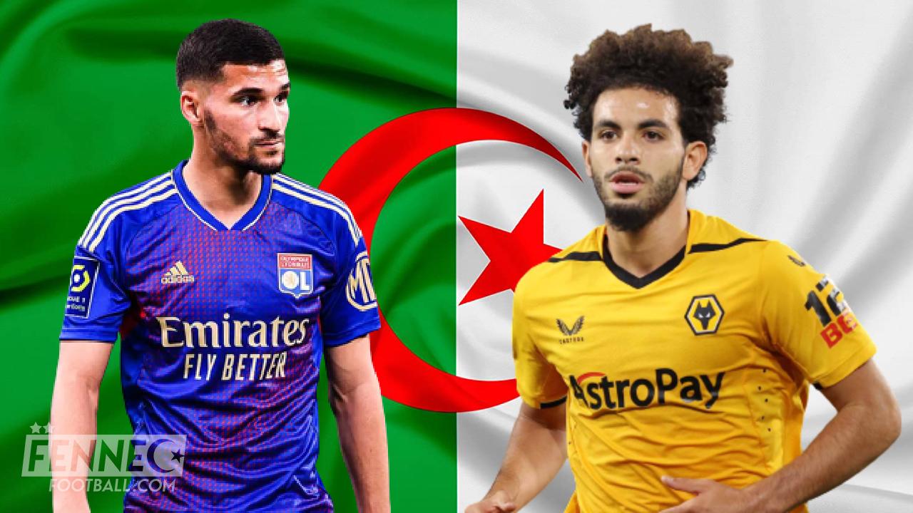 Aouar et Ait Nouri en équipe d'Algérie : Voici les dernières nouvelles !