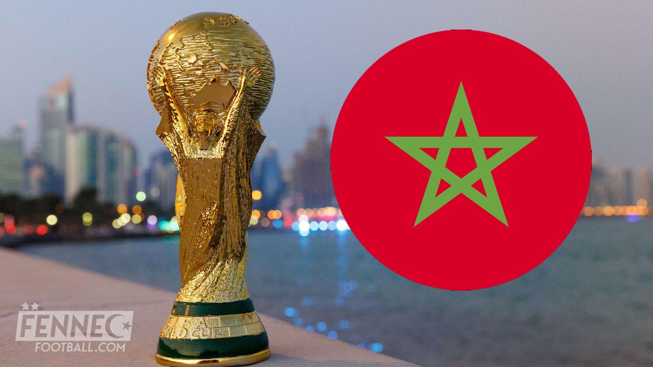 Mondial 2030 : abattage de 3 millions de chiens errants ? le Maroc brise le silence