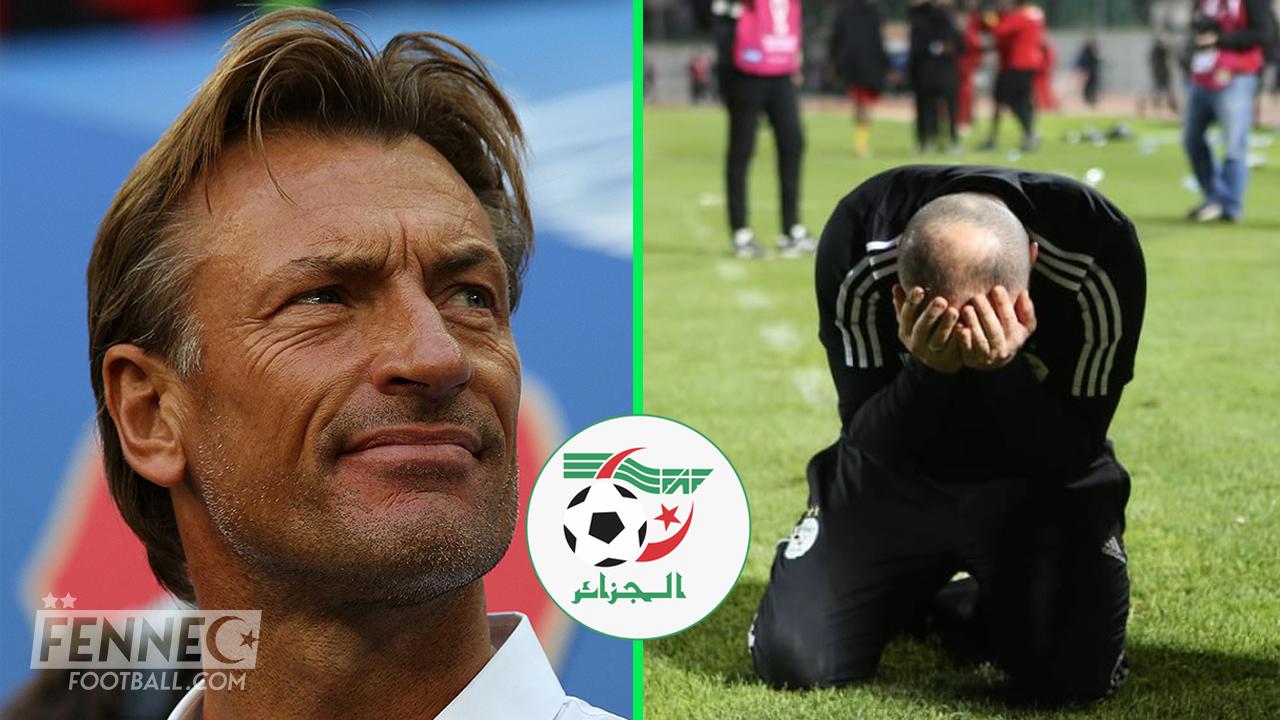 URGENT - Hervé Renard pour remplacer Belmadi à la tête de l'équipe d'Algérie : le français se prononce déjà !