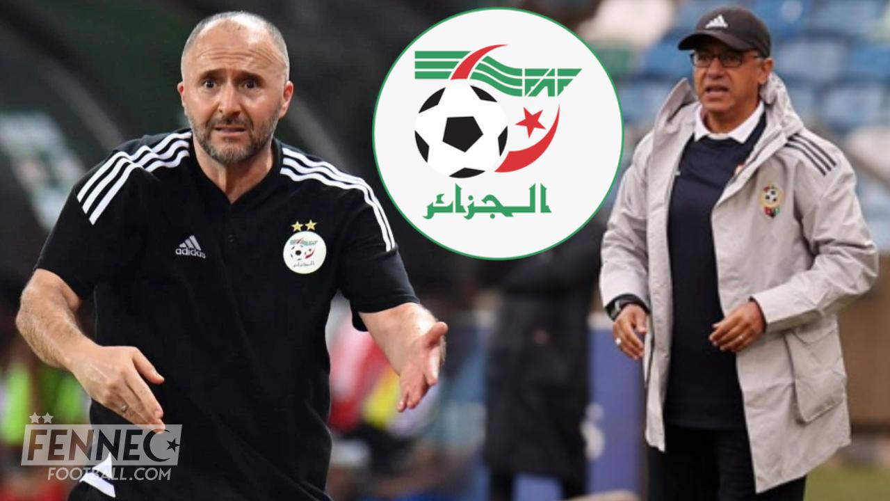 Adel Amrouche s’en prend violemment à Djamel Belmadi : la FAF sort enfin de son silence (Vidéo)