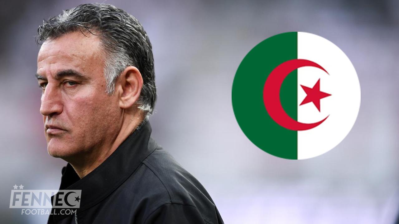Choc - Après Boudaoui, Christophe Galtier s'en est pris à un autre international algérien !