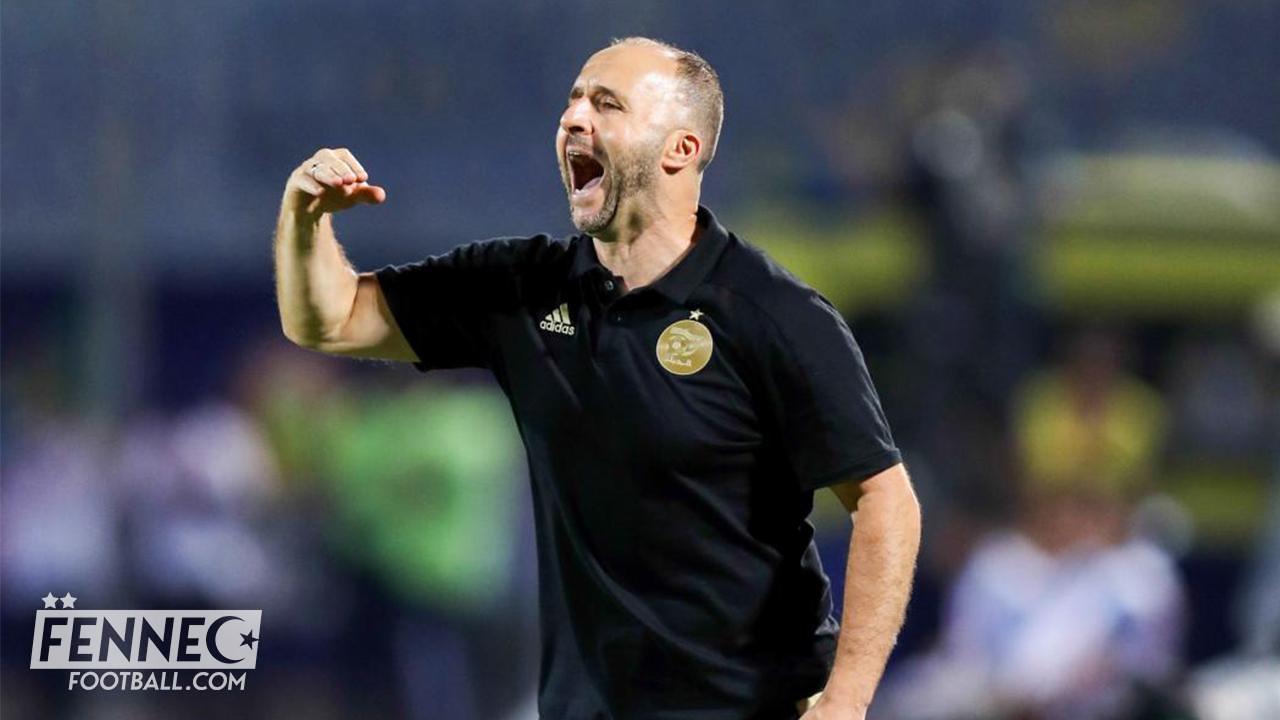 Éliminé à la CAN, Djamel Belmadi rabaisse ses joueurs !