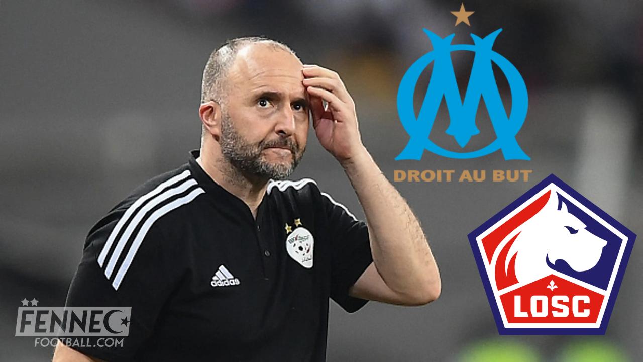 Équipe d'Algérie : l'Olympique de Marseille et Lille pour venir en aide à Djamel Belmadi !