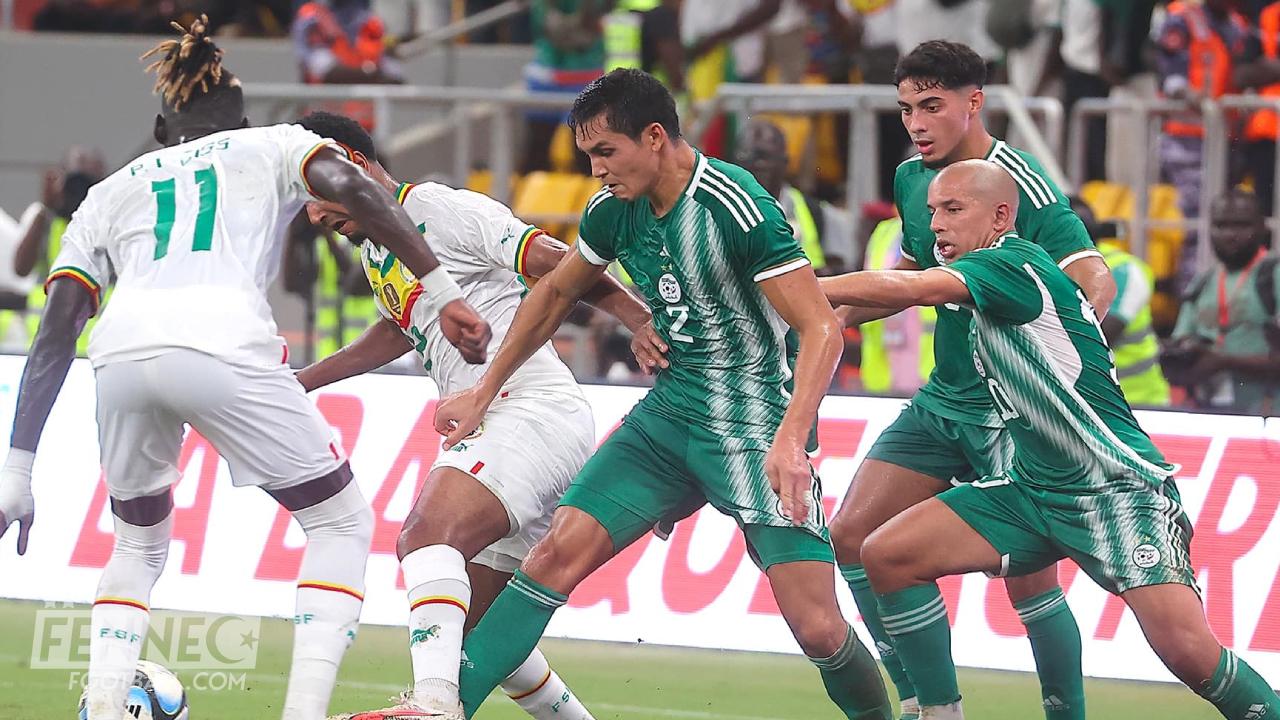 Equipe d'Algérie : Adversaires des Fennecs en octobre ? La FAF apporte des nouvelles décevantes