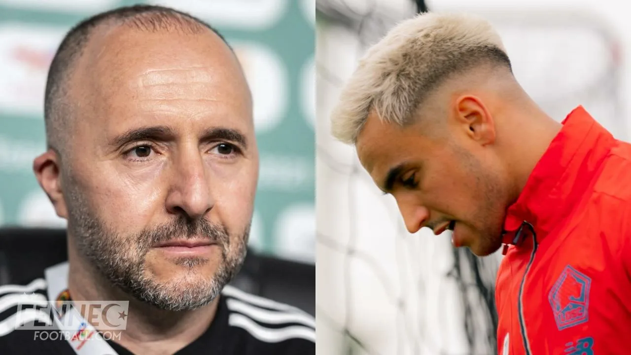 " Je suis tellement excité pour.. " : Adam Ounas envoie un message subtile à Djamel Belmadi