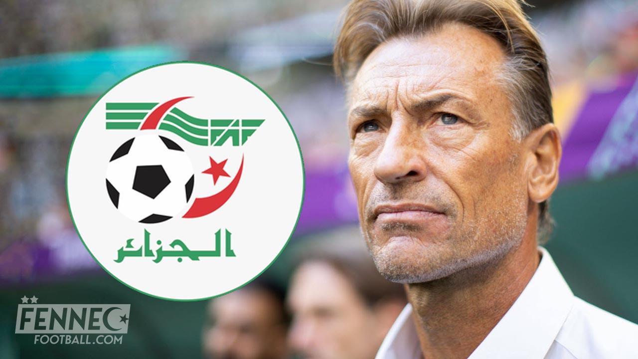 Hervé Renard et l'Algérie : la FAF concocte déjà l'après Petkovic