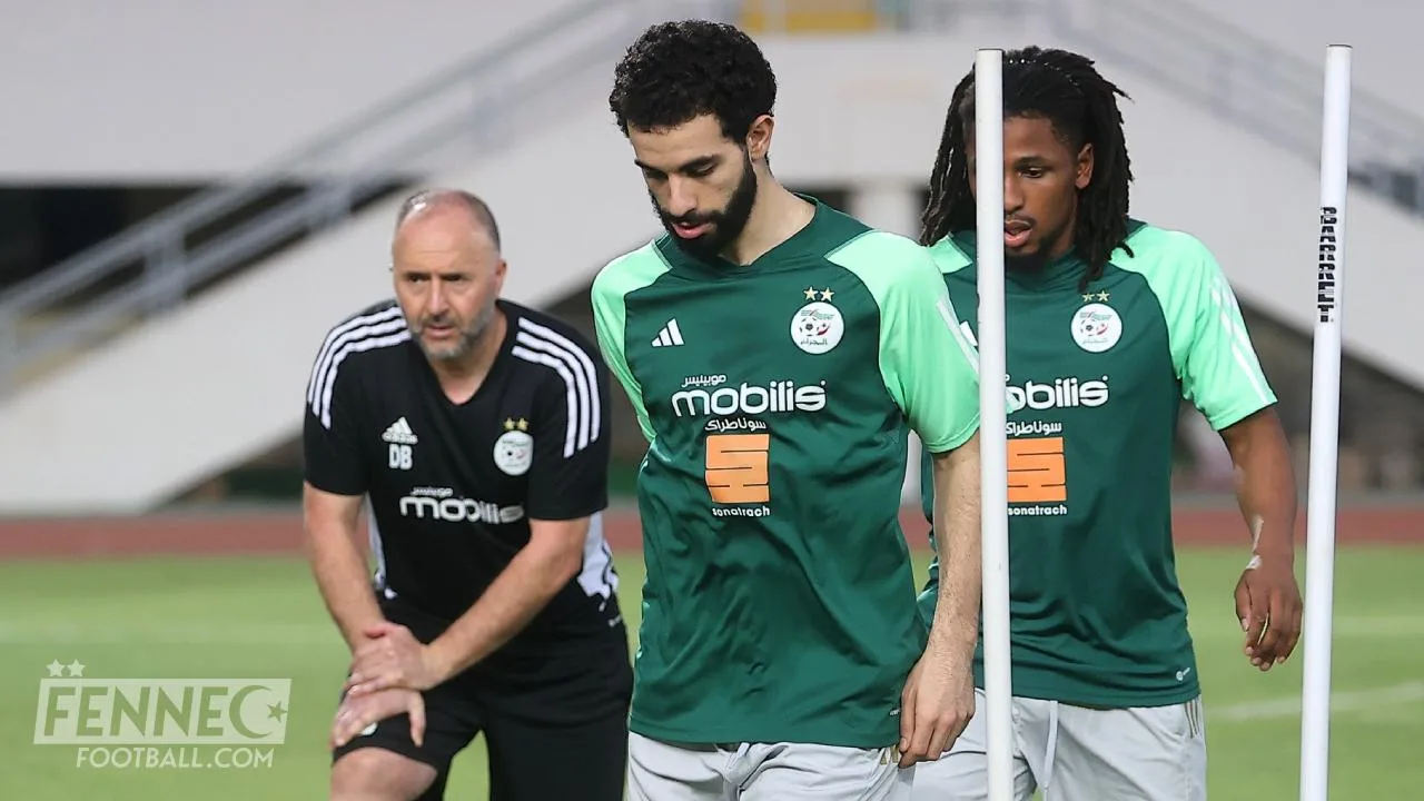 Togo Algérie - Match amical : Voici le probable onze de départ de Belmadi