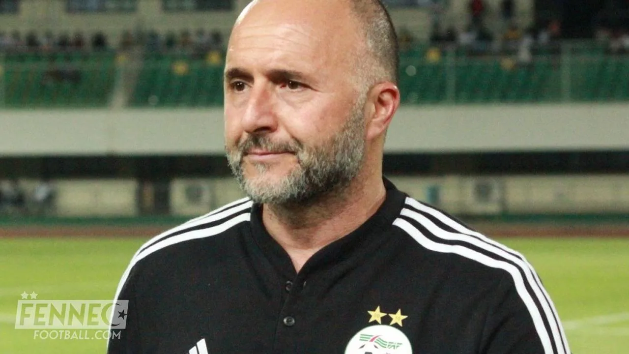Une Fédération souhaite chiper Djamel Belmadi à Al Rayyan !