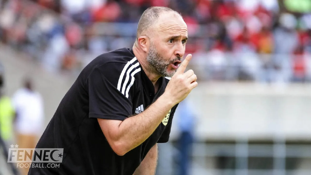 Algérie Angola : un détail a joué un sale tour à Djamel Belmadi