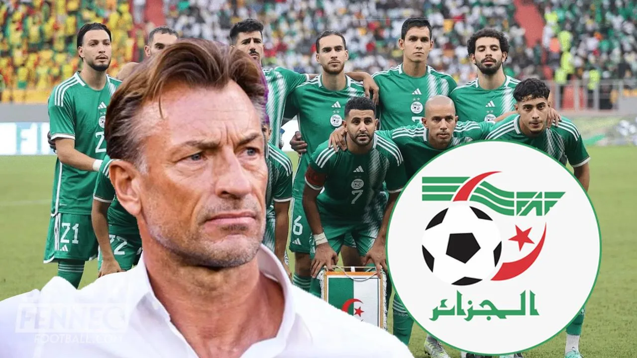 Hervé Renard courtisé par un rival direct de l'équipe d'Algérie