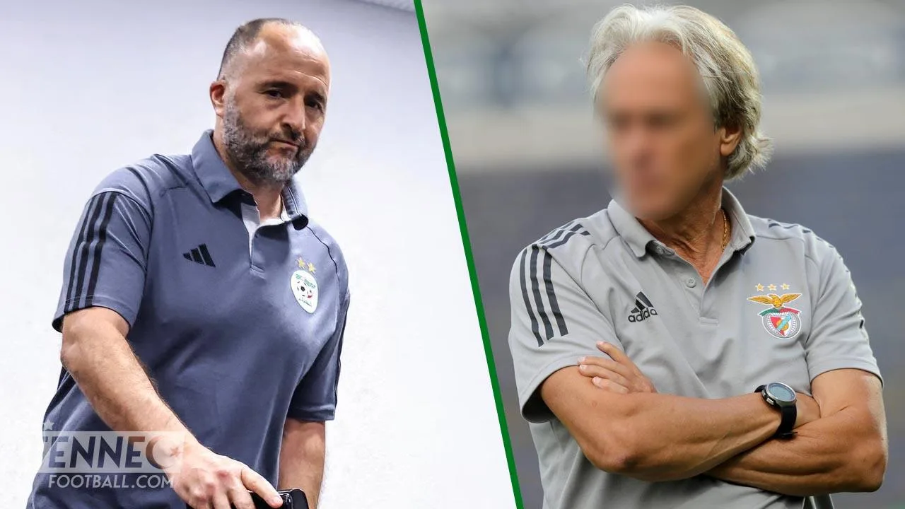 Un grand coach portugais proposé pour remplacer Djamel Belmadi !
