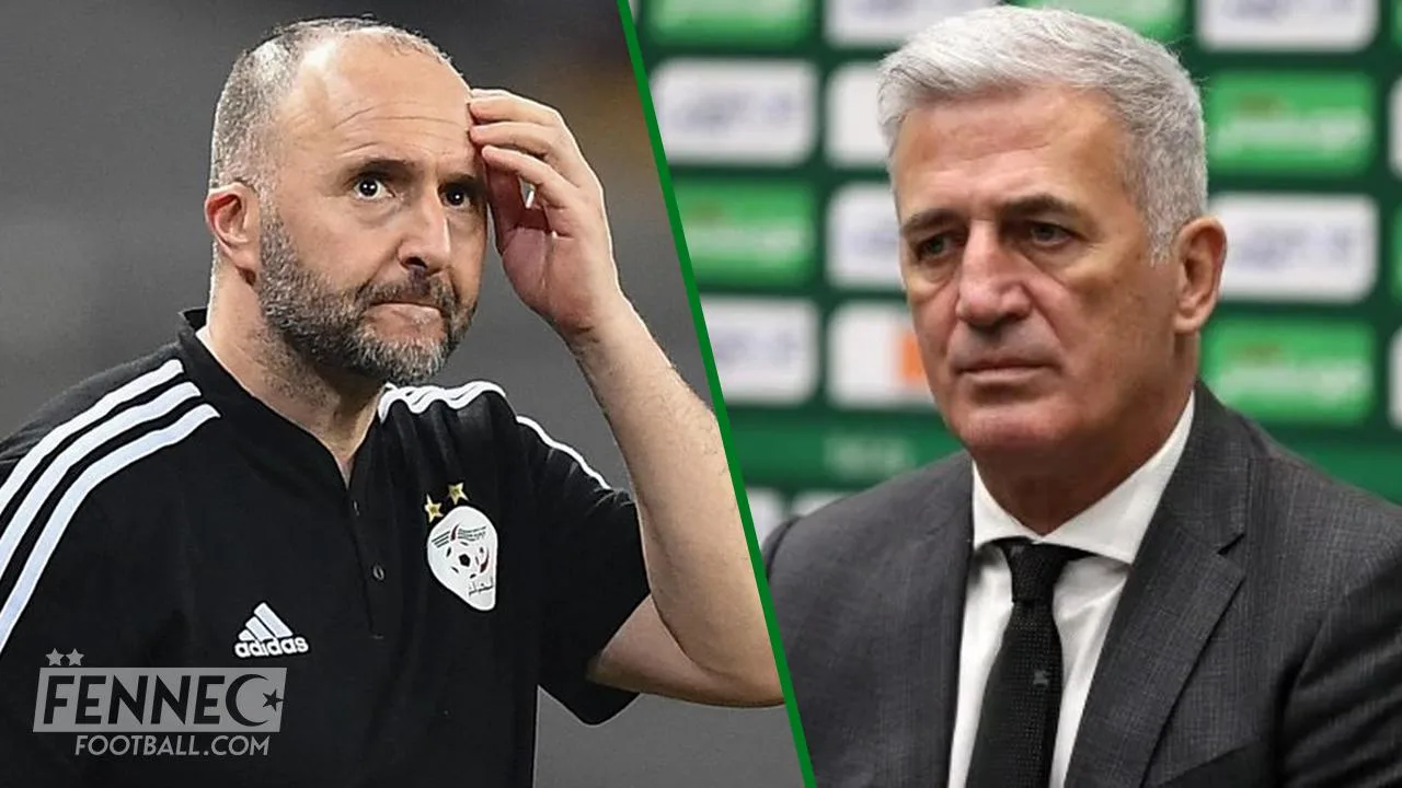 Boudaoui forfait : un lésé par Belmadi appelé à la rescousse par Petkovic ?