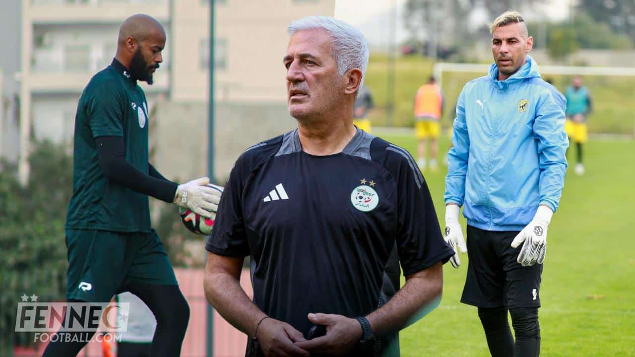 Chaouchi et M’Bolhi encore chez les Verts ? Petkovic interpellé