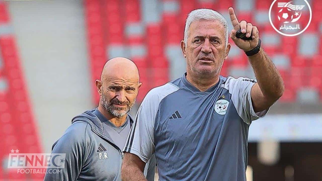 Algérie : le renouvellement du contrat de Vladimir Petkovic retardé pour une raison inattendue