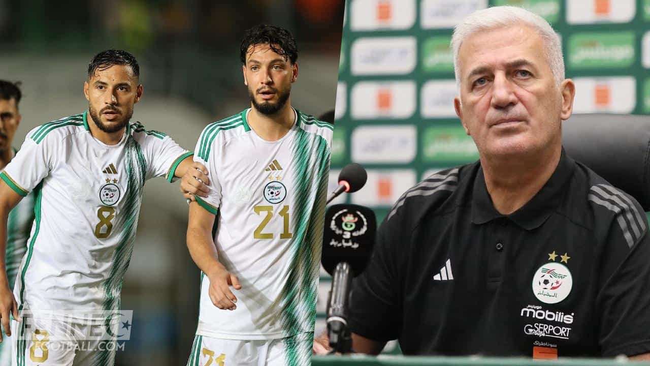 L'Algérie reçoit une très bonne nouvelle d'Allemagne !